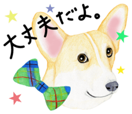 Mr.CORGI sticker #3937787