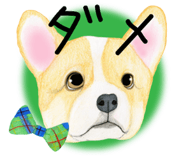 Mr.CORGI sticker #3937790