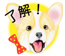 Mr.CORGI sticker #3937791