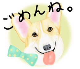 Mr.CORGI sticker #3937792