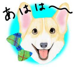 Mr.CORGI sticker #3937794