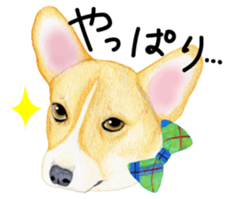 Mr.CORGI sticker #3937795