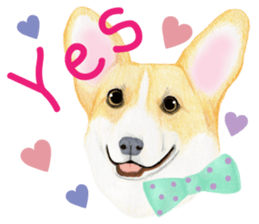 Mr.CORGI sticker #3937797