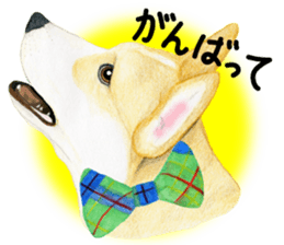 Mr.CORGI sticker #3937799