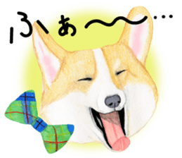 Mr.CORGI sticker #3937800