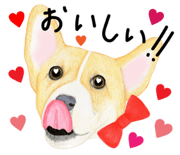 Mr.CORGI sticker #3937802