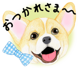 Mr.CORGI sticker #3937804