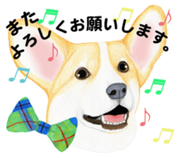 Mr.CORGI sticker #3937805