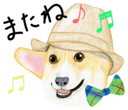 Mr.CORGI sticker #3937806