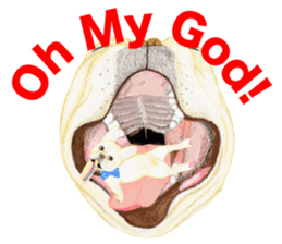 PLANET OF THE FRENCH BULLDOG sticker #3937947