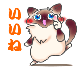 Birman sticker #3938167