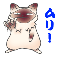 Birman sticker #3938168