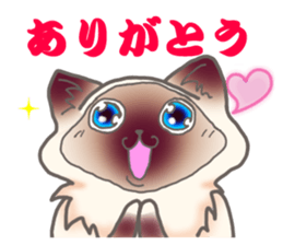 Birman sticker #3938169