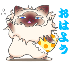 Birman sticker #3938171