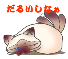 Birman sticker #3938174