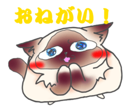 Birman sticker #3938175