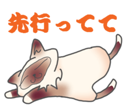 Birman sticker #3938176