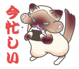 Birman sticker #3938178