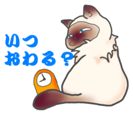 Birman sticker #3938179