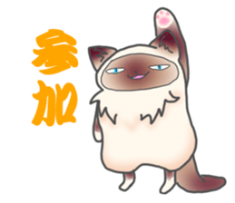 Birman sticker #3938185