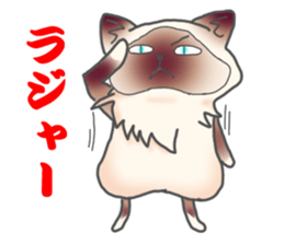 Birman sticker #3938188