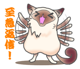 Birman sticker #3938189