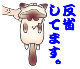 Birman sticker #3938192