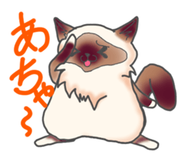 Birman sticker #3938195