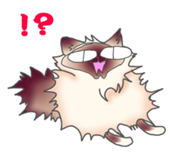 Birman sticker #3938198