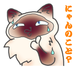 Birman sticker #3938199