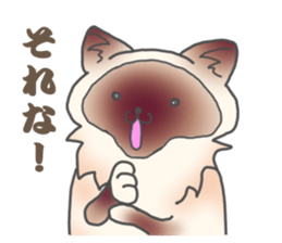 Birman sticker #3938200