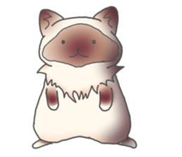 Birman sticker #3938202