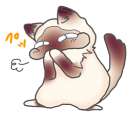 Birman sticker #3938205