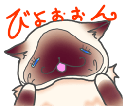 Birman sticker #3938206