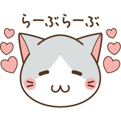 face of cat