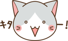 face of cat sticker #3938651