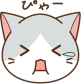 face of cat sticker #3938660