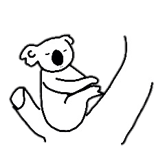 koala Sticker
