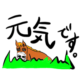 Horse a day sticker #3940515