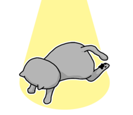 A Cat of the gray which is the pace sticker #3941693