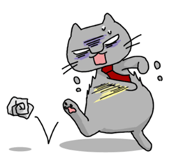 A Cat of the gray which is the pace sticker #3941697