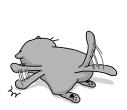 A Cat of the gray which is the pace sticker #3941701