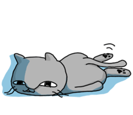 A Cat of the gray which is the pace sticker #3941703