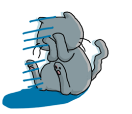 A Cat of the gray which is the pace sticker #3941715