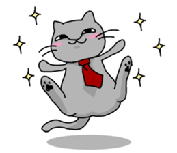 A Cat of the gray which is the pace sticker #3941721