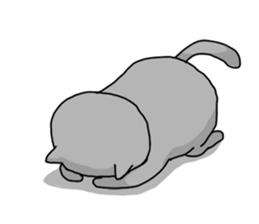 A Cat of the gray which is the pace sticker #3941723