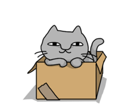 A Cat of the gray which is the pace sticker #3941725