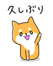 My Shiba dog 2 sticker #3943367