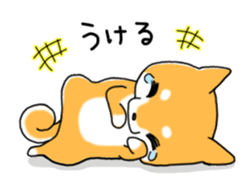 My Shiba dog 2 sticker #3943374