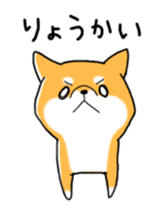 My Shiba dog 2 sticker #3943386
